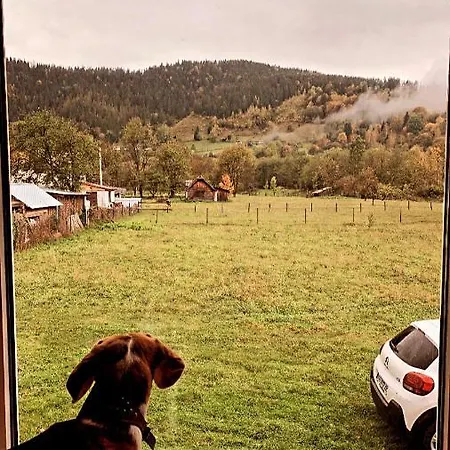 затишний будиночок біля річки Krivorovnya