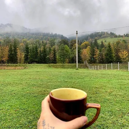 затишний будиночок біля річки Ferienhaus Krivorovnya