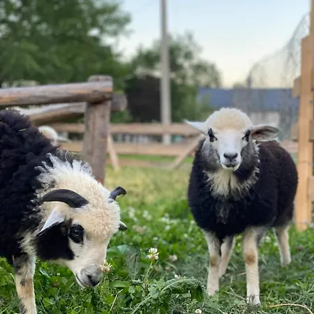 Ferienhaus затишний будиночок біля річки