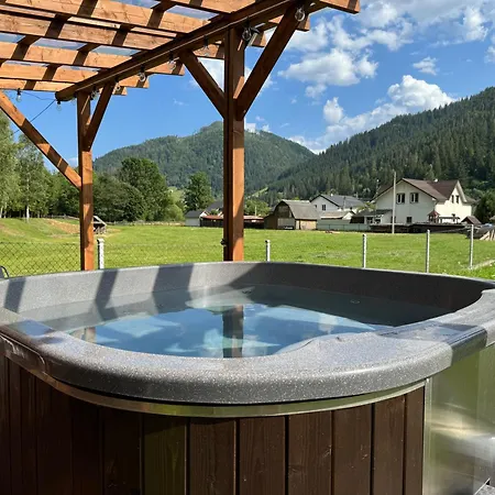 затишний будиночок біля річки Holiday home Krivorovnya